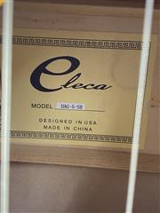 Eleca Acoustic Guitar DAG-5-SB